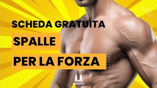 Spalle Scheda Gratuita per aumentare la Forza [upl. by Haile]