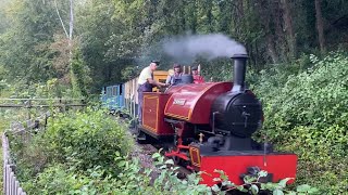 AMBERLEY CHALK PITS TRAIN RIDE 10923 [upl. by Ellehsal]