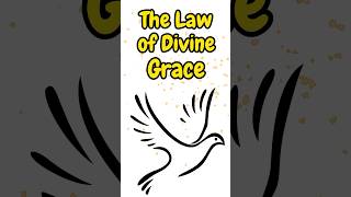 The Law of Divine Grace lawsoftheuniverse grace gratitude [upl. by Obeded830]