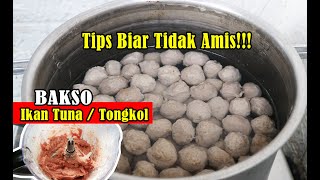 Pentol Ikan kenyal tidak amis‼️ Cara membuat bakso ikan tuna tongkol tenggiri agar tidak bau anyir [upl. by Terena637]