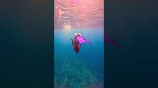 Under Water in usa satisfyingsounds freediving underwater freediver sunset mermaid asmrsounds [upl. by Ameg]