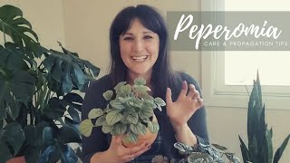 Peperomia  Complete Care amp Propagation Guide [upl. by Castora]