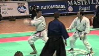 Mondiali ITKF Treviso 1994 [upl. by Bodi]