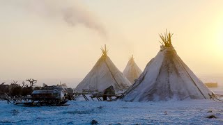 A Tent in Arctic Siberia  Living Moving and Making a Reindeer Skin Tent [upl. by Uel]