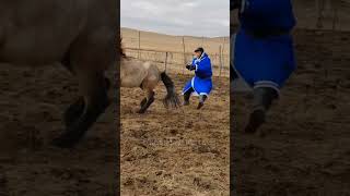 What I should do equestrian horse rider wildhorses shorts viralshorts youtubeshorts [upl. by Eiramassenav]