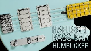 Haeussel Bassbar Humbuckers in ThunderbirdCovers  Maruszczyk Jake 4p [upl. by Ahsoj]