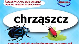 Chrząszcz  Jan Brzechwa  Roześmiana Logopedia poleca wiersze polskich poetów [upl. by Ennovoj]