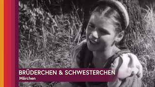 Brüderchen und Schwesterchen  Märchen ganzer Film auf Deutsch [upl. by Tabor999]