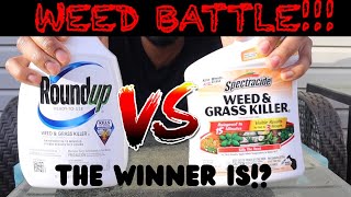 ROUNDUP VS SPECTRACIDE REAL TIME BATTLE WHATS THE BEST WEED KILLER [upl. by Melvyn]