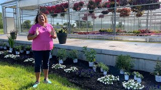 Planting Up a New Trial Garden with 2025 Proven Winner Perennials [upl. by Scevor]