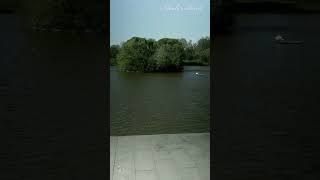 Pond lake shorts short shortvideos travel nature [upl. by Gere2]