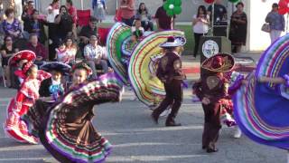 Cinco de Mayo Celebration [upl. by Eran]