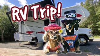 The Dogs Go On a RV CAMPING TRIP [upl. by Cirdec]