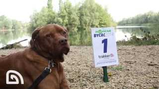 Trakker  BYCAC 2014 [upl. by Layod]