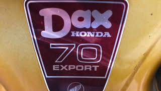 Honda ST70 DAX [upl. by Drawde]