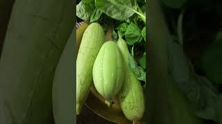 Green amaranthus and smooth gourd nenua from my garden for todays lunch [upl. by Evangeline]