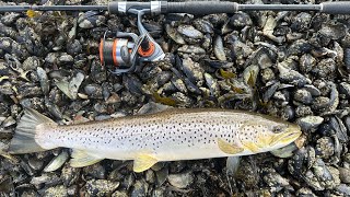 Fishing Scotland’s waters for sea trout [upl. by Nunciata594]