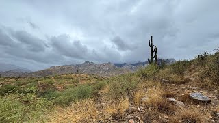 Hiking in the rain and found￼ some￼Hohokam ￼pottery [upl. by Milda]