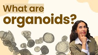 What are organoids [upl. by Sherrill]