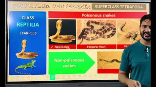 Phylum Chordata part 2 class 11 and neet [upl. by Aieki]