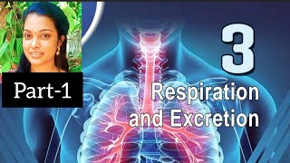 chapter 3 Respiration and Excretion class9Biology scert biology science [upl. by Eatnwahs539]