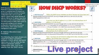 CCNA Interview questions  How DHCP works Packet Level explanation  CCNA Live Project 1 [upl. by Judi359]