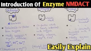 Introduction Of Enzyme  NMDCAT 2022  Enzyme [upl. by Sidwel676]