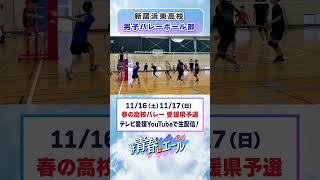 春高バレー2024意気込み動画 [upl. by Apur]