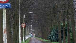 Many Schréder TZP lanterns turn on [upl. by Urbas]