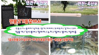 경기도연천옥산보자정작용을이용한☞맑은물샘물1급수개발민물고기생태특성파악1급수민물고기어항만들기 [upl. by Erdnaxela]