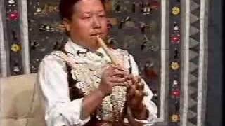 Hmong Flute Performance [upl. by Ydarg]