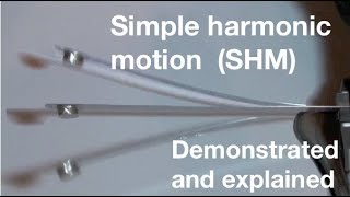 Simple harmonic motion SHM for beginners from fizzicsorg [upl. by Mazurek]