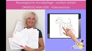 Zwergschnauzer  einfach erklärt  Videoseminar Teaser [upl. by Mcarthur642]