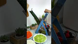 This is amazing Multifunctional vegetable cutter foryou kitchen [upl. by Poock366]