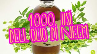 Olio di Neem come creare un pesticidaantiparassitario per cani gatti e piante bio naturale [upl. by Liew]