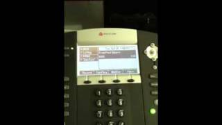 Polycom call recording [upl. by Atiek]