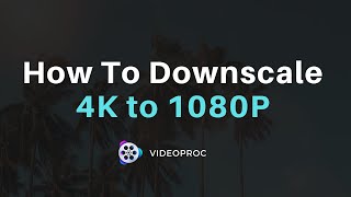 How to Downscale 4K to 1080P  4K to 1080P Converter 2024 [upl. by Annaerdna149]