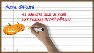 Laccord des adjectifs de couleur [upl. by Leo]