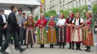 hungarian flash mob in nyc [upl. by Ellehcan]