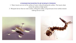 Molecular explanation of surface tension [upl. by Pearce]