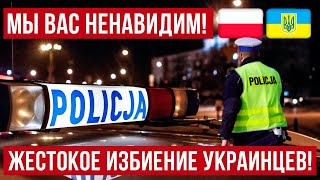 в Польше украинцы по дороге домой встретили поляков и вот что получилось [upl. by Naomi699]