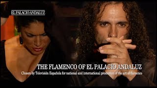 Flamenco Show  Tablao Flamenco El Palacio Andaluz [upl. by Rozalin]