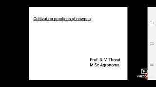 Cultivation practices of cowpea [upl. by Manfred]