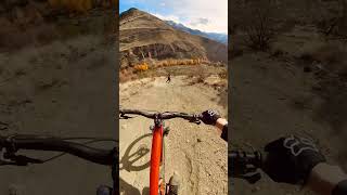 Skier Vs Mountain Biker [upl. by Aicargatla]