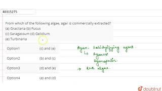 From which of the following algae agar is commercially extracted a Gracilaria b Fucus [upl. by Anilehcim48]