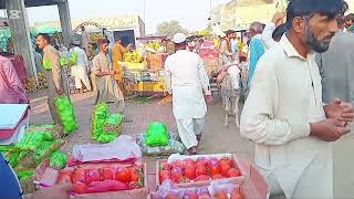 Karachi fruit mandi price rate today [upl. by Anialahs417]