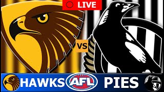 HAWTHORN vs COLLINGWOOD  2024 AFL Round 19 Live Stream [upl. by Toddy]