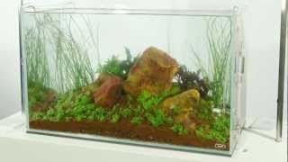 Five Stones Aquascape by James Findley  TimeLapse Preview [upl. by Alejoa]