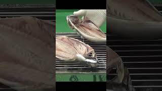 고등어를 숯불에 구우면 끝장난다 Mackerel grilled on charcoal [upl. by Stutzman]