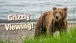 Visiting the best place in world for Grizzly viewing Cinematic adventure in Katmai National Park [upl. by Nannie]